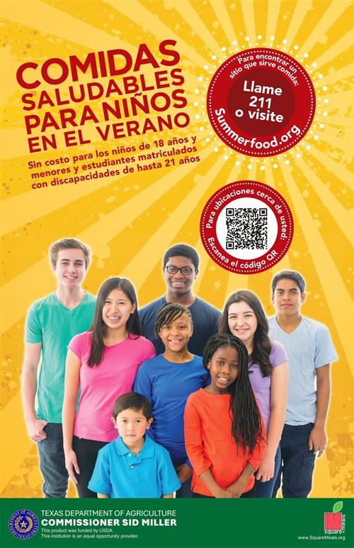 Comidas Saludables Para Ninos en el Verano